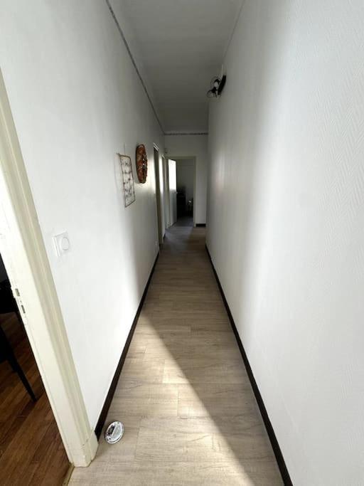 Appartement Sabatier T4 Avec Terrasse Et Jardin Carcassonne Buitenkant foto