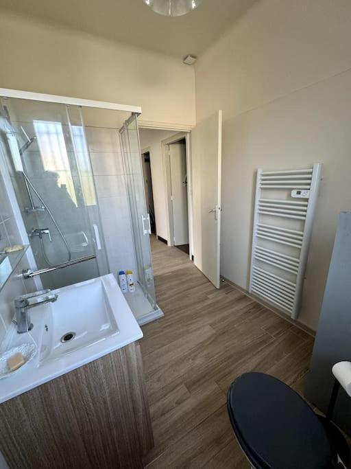 Appartement Sabatier T4 Avec Terrasse Et Jardin Carcassonne Buitenkant foto