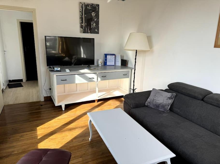 Appartement Sabatier T4 Avec Terrasse Et Jardin Carcassonne Buitenkant foto