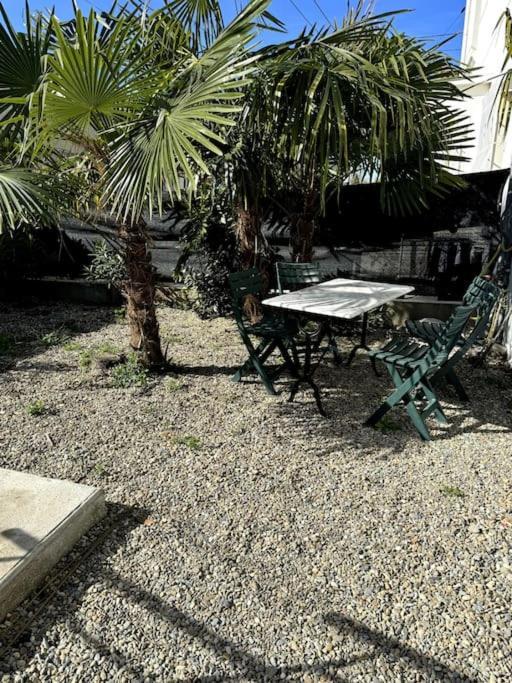 Appartement Sabatier T4 Avec Terrasse Et Jardin Carcassonne Buitenkant foto